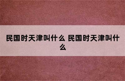 民国时天津叫什么 民国时天津叫什么